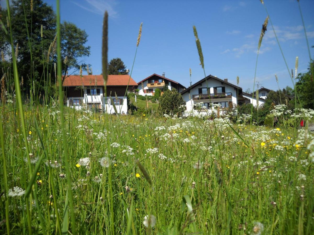 Im- Oberland - Berg - Koenigscard Διαμέρισμα Bad Kohlgrub Εξωτερικό φωτογραφία