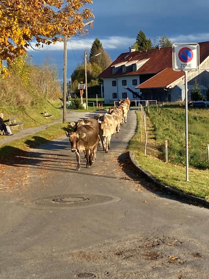 Im- Oberland - Berg - Koenigscard Διαμέρισμα Bad Kohlgrub Εξωτερικό φωτογραφία